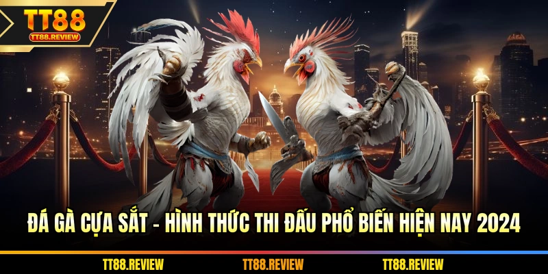 Đá gà cựa sắt - Hình thức thi đấu phổ biến hiện nay 2026