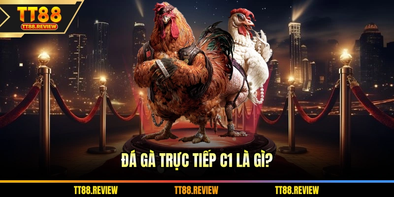 Đá gà trực tiếp C1 là gì?