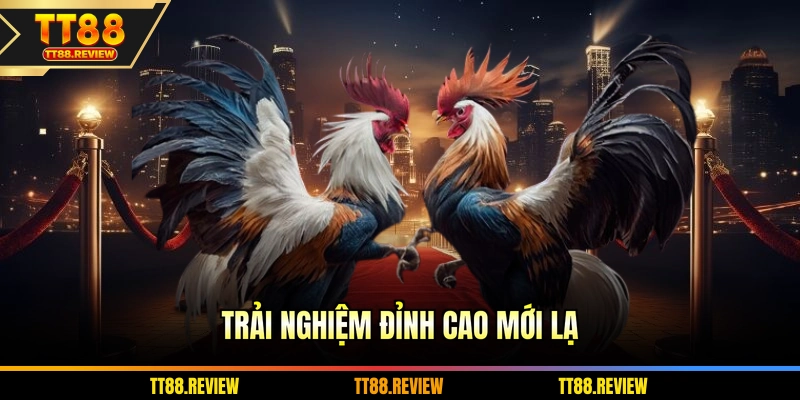 Trải nghiệm đỉnh cao mới lạ